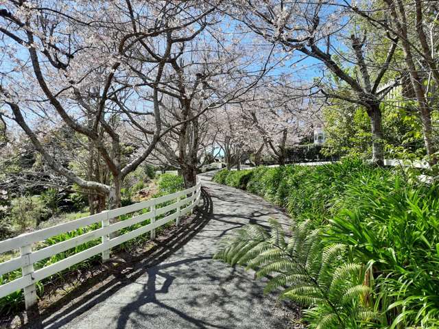 2a Loop Road Wairoa_1