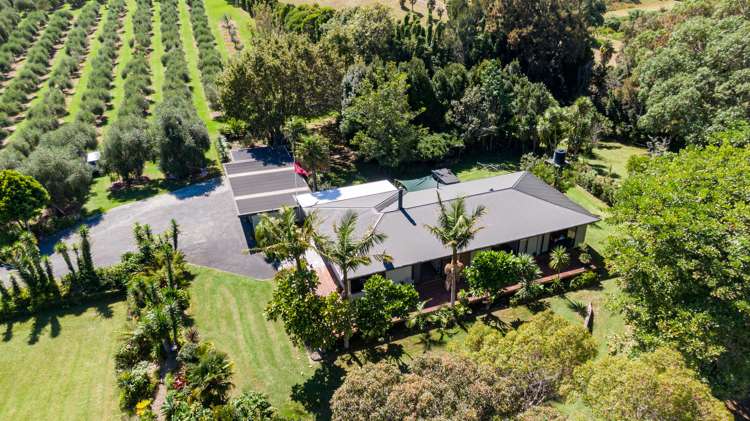 478 Hihi Road Mangonui_48