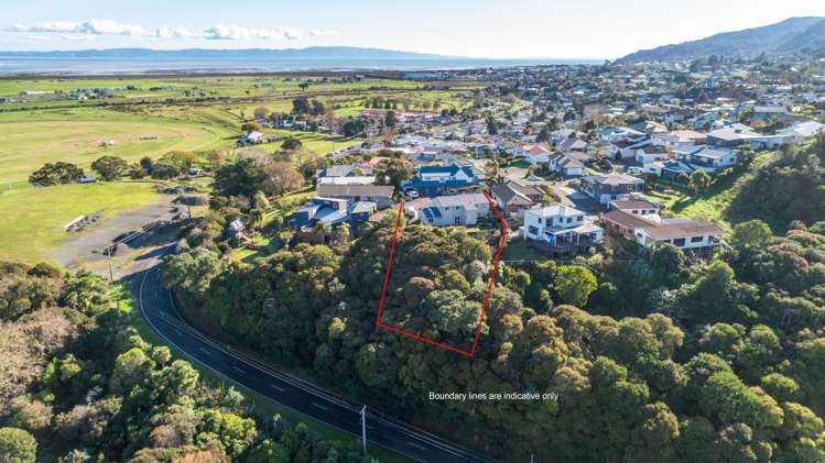 114 Whitehead Way Thames_26