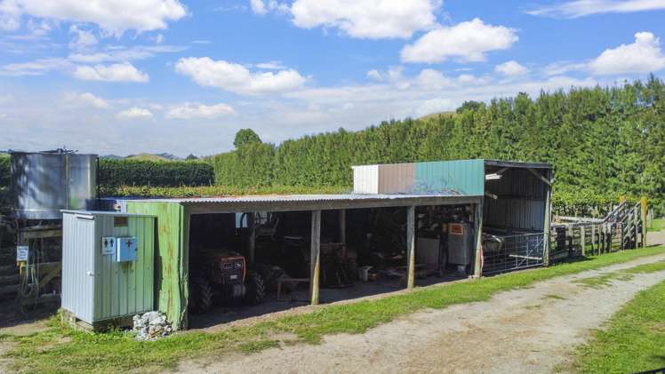 443C State Highway 2 Opotiki_6
