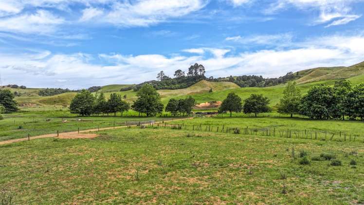 880 Kopuku Road Maramarua Forest_8