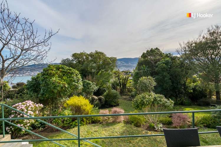 171 Larnach Road Waverley_15