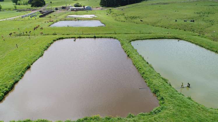 101 Pullin Road Ruatangata_7