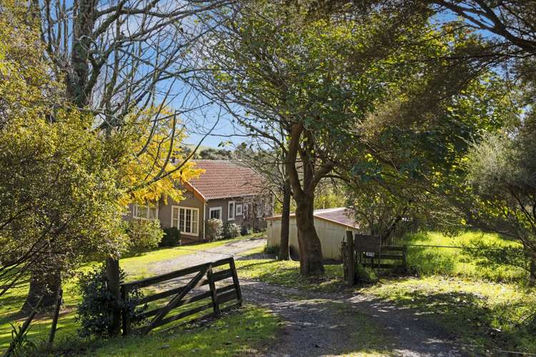 370 Rimmer Road Helensville_16