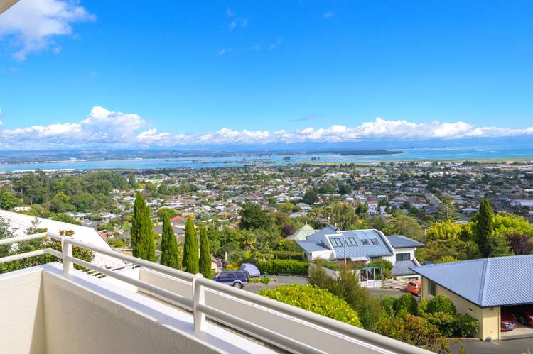 45 View Mount Stoke_10