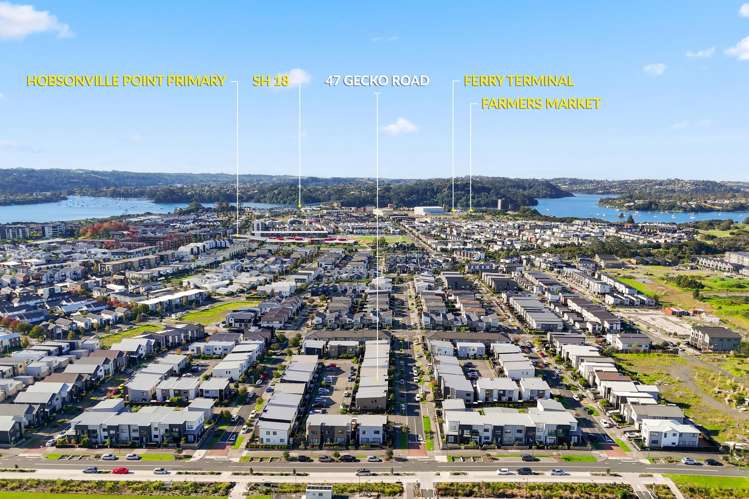 47 Gecko Road Hobsonville_20