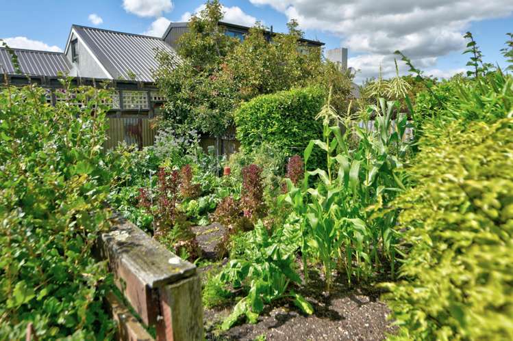 112 Coutts Road Gore_24