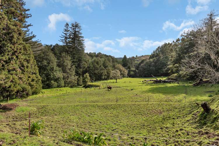 272 Maunu Road Horahora_14