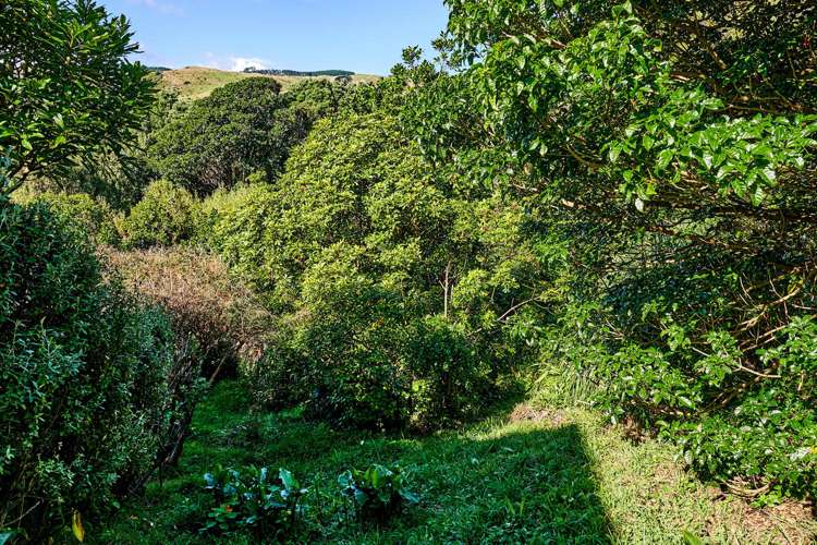 97F Muri Road Pukerua Bay_33