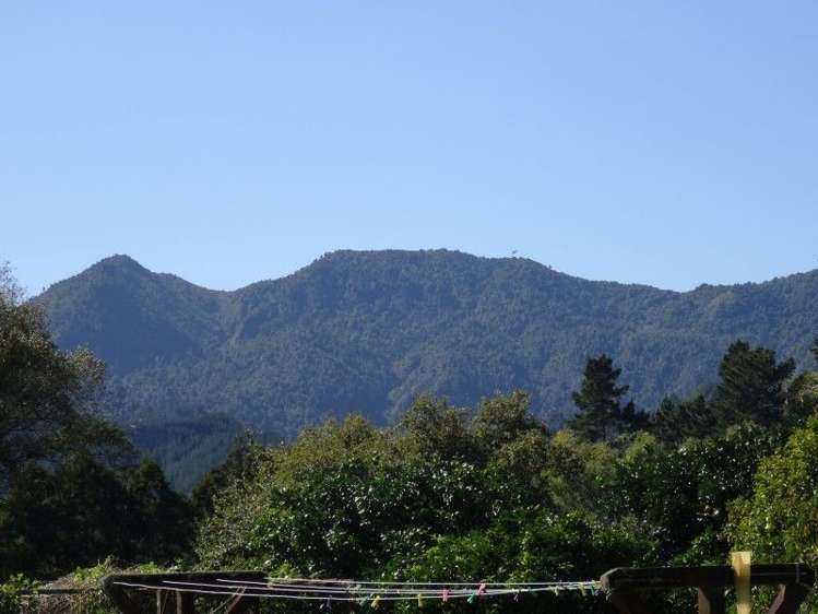 72 Puriri Valley Road Puriri_1