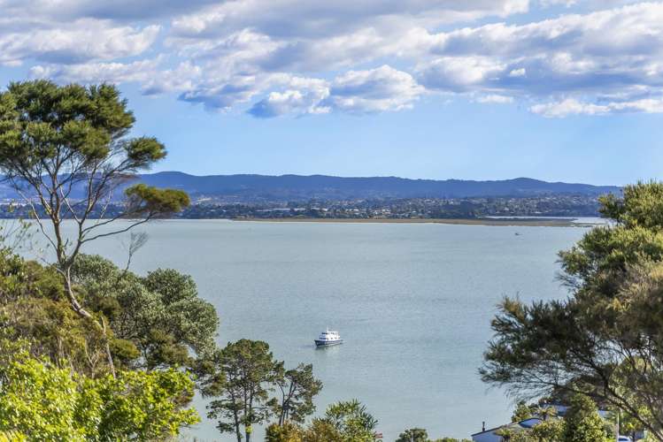 20 Mayall Avenue Beach Haven_3