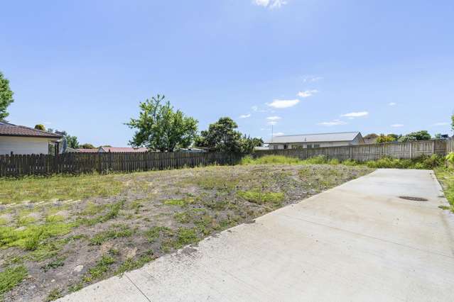 102B Finlayson Avenue Clendon Park_1