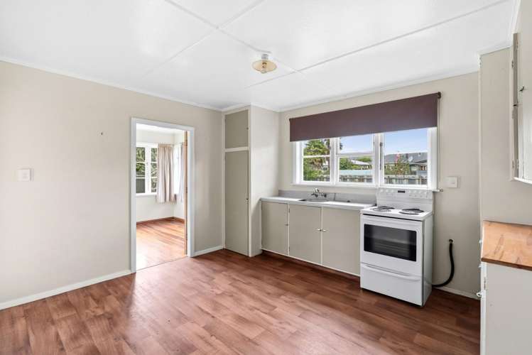 15B Roosevelt Street Levin_2