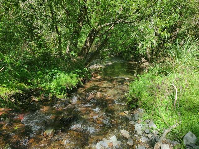 240 Sladdens Bush Road Coopers Creek_3