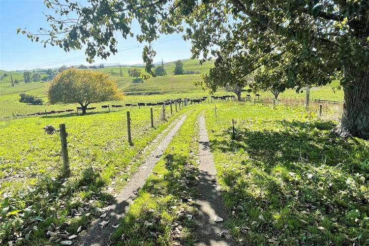 171 Whawharua Road Otorohanga_27