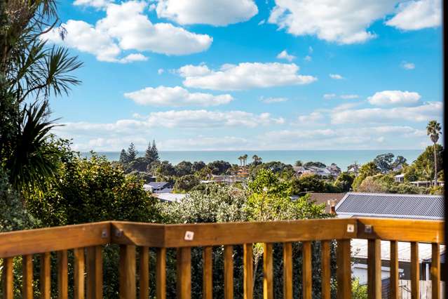 16 Halldene Terrace Red Beach_2
