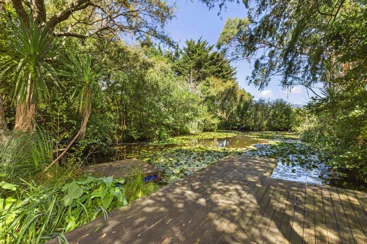 91d Greenslade Road Raglan_34