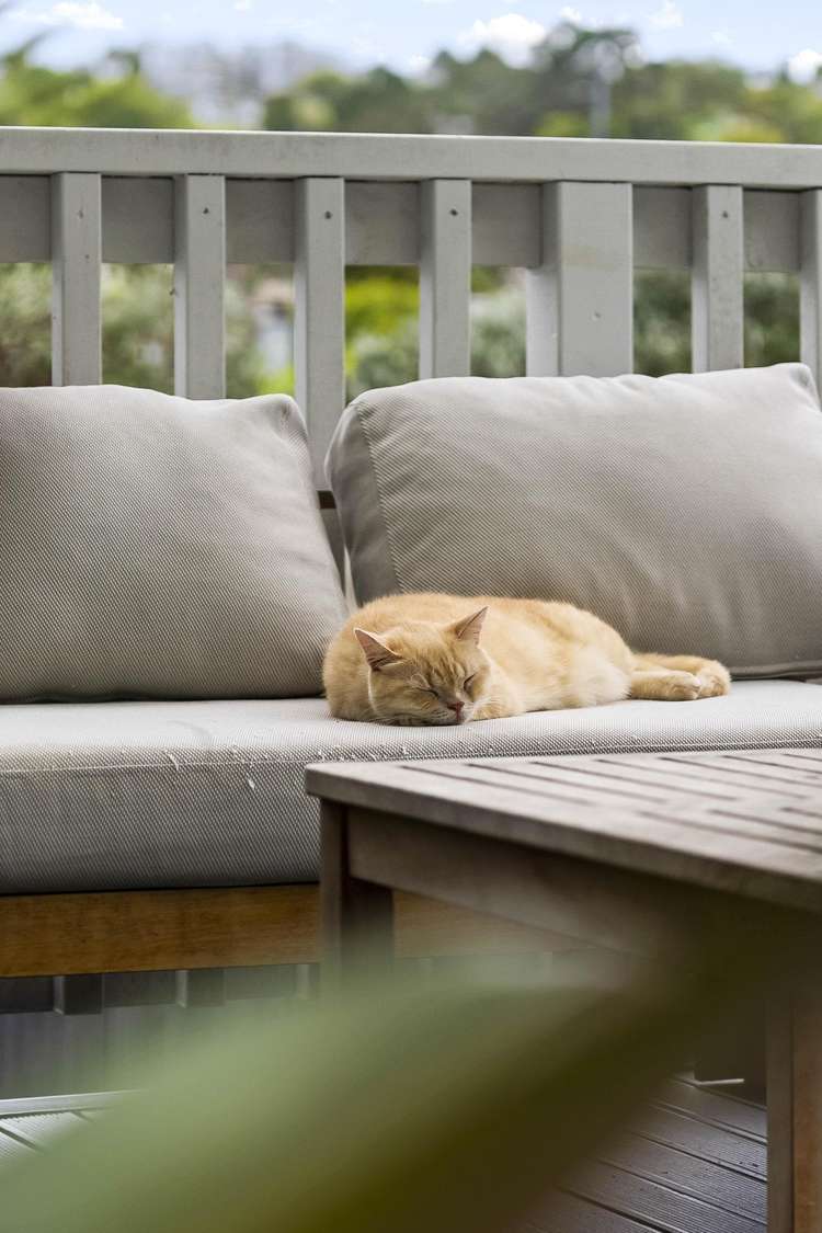 2/16 Sandiacre Way Browns Bay_11