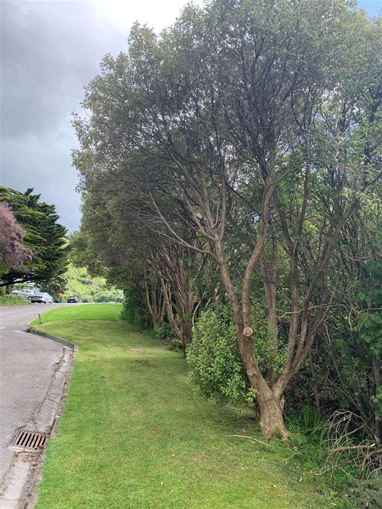 27 Westhaven Drive Tawa_6