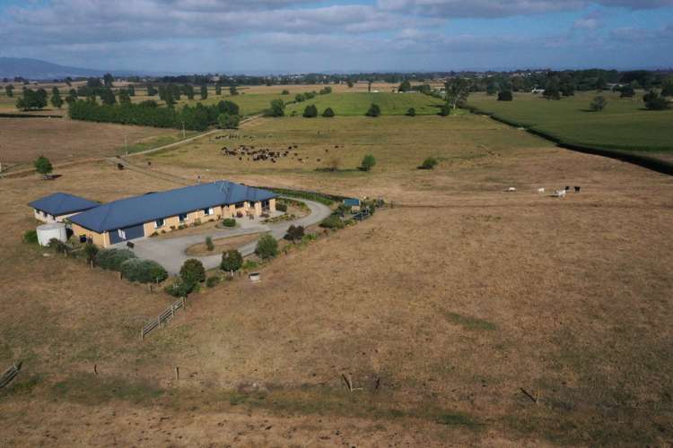 111 Mill Road Ohaupo_18