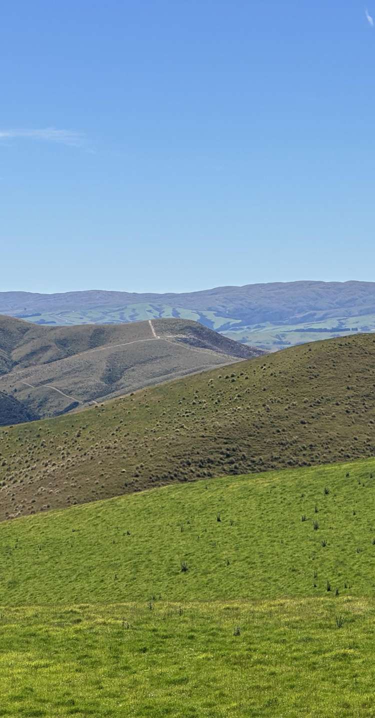 2230 Tapanui Raes Junction Highway Clutha_17