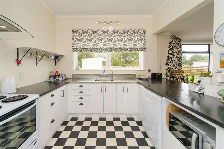 60 Johnson Street Bulls_20