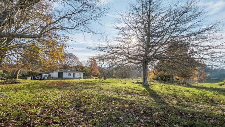 478 Galatos Road Atiamuri_4