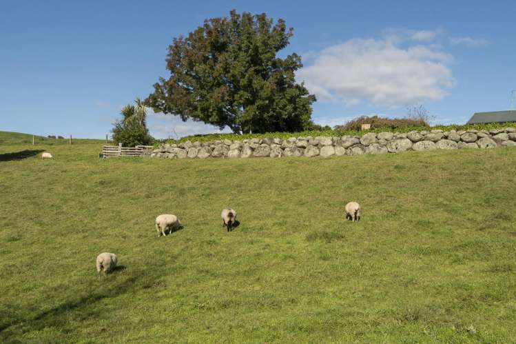 325c Rea Road Hauraki Surrounds_16