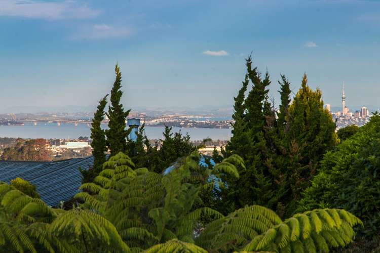 29 Puketaha Road Swanson_5