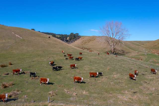 370 Gore Bay Road Gore Bay_3