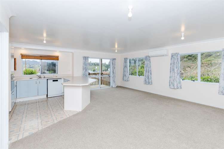 38a Kakamutu Road Otorohanga_2