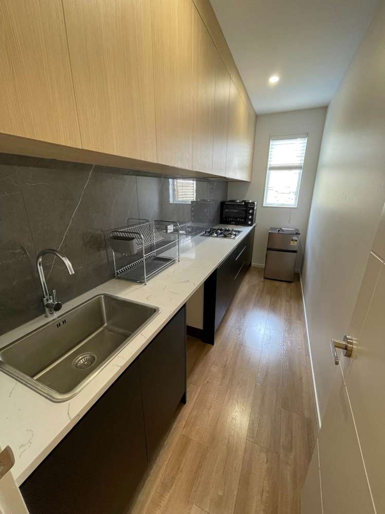 19 Hing Street Flat Bush_1