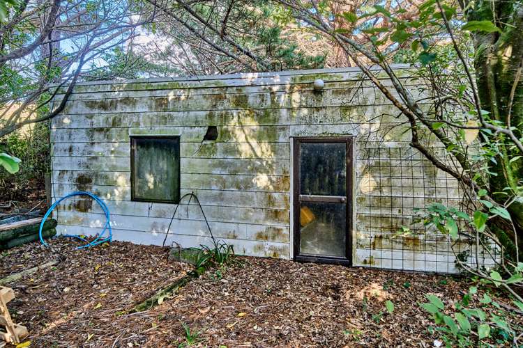 207 Flightys Road Judgeford_32