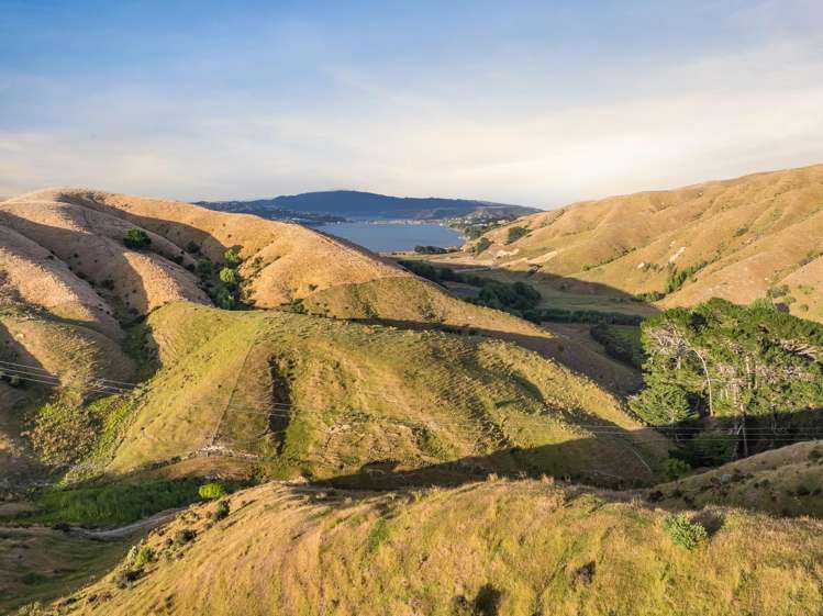 Lot 2/269 Grays Road Pauatahanui_10