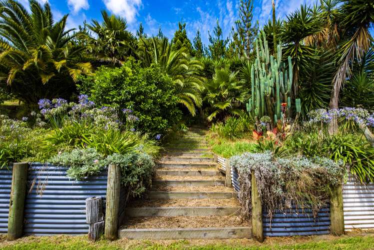 420 Foxton Shannon Road Foxton_14