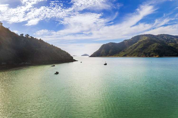 2343 Croisilles-French Pass Road Okiwi Bay_28