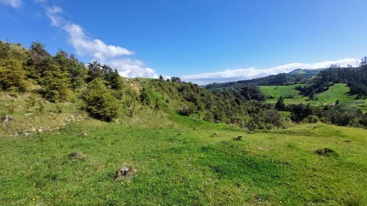 1104 Tapuhi Road Hikurangi Rd2_17