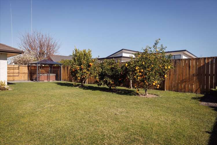 11 Allington Place Bethlehem_14