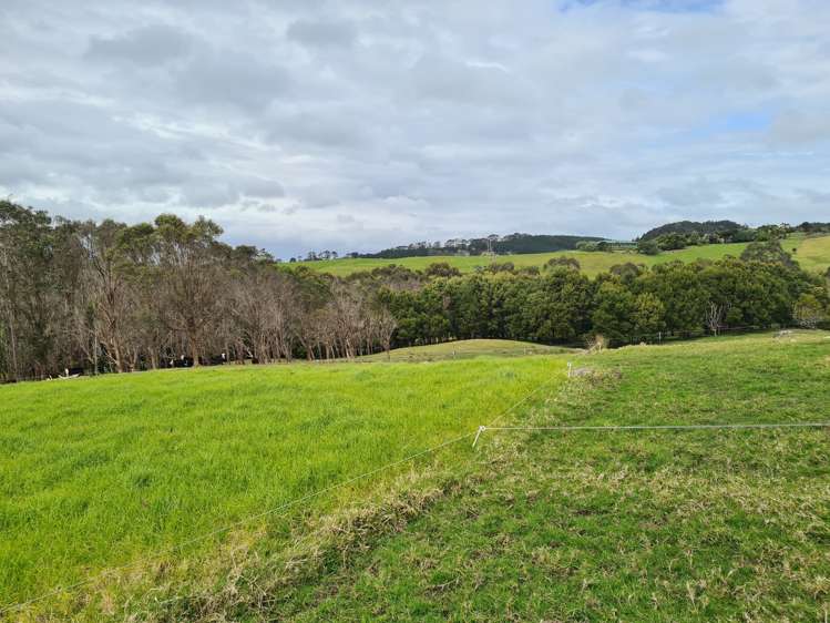 54 Hall Road Tinopai_5