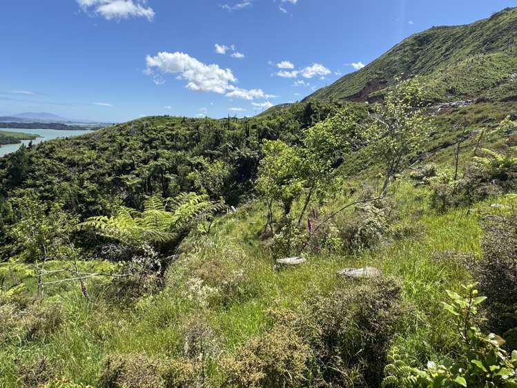 Lot 2 Brown Road Kawhia_12