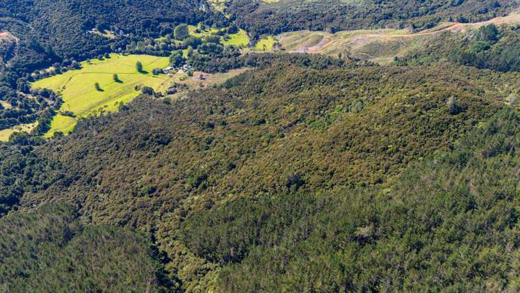 Lot 2 Goshen Valley Road Mangonui_2