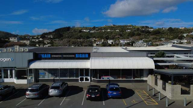 10 Surrey Street Tawa_3