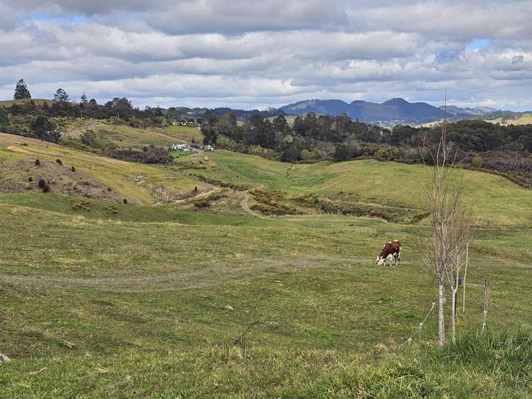 113C Marua Road Hikurangi_26