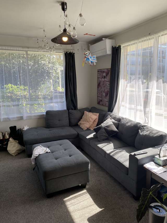 1/5 Bollard Avenue Mount Albert_2