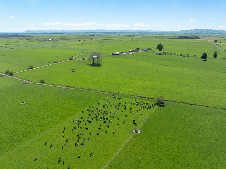 254 Muir Road Te Awamutu_22