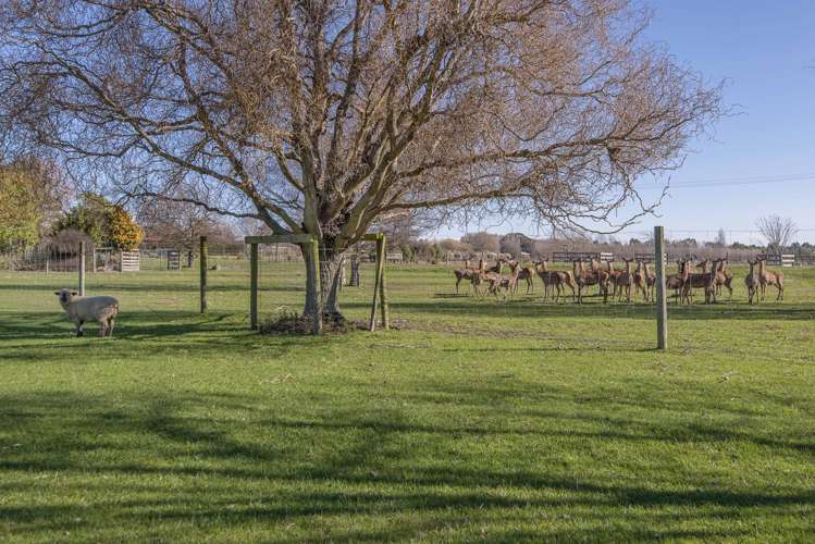 78 Leadleys Road Halswell_18