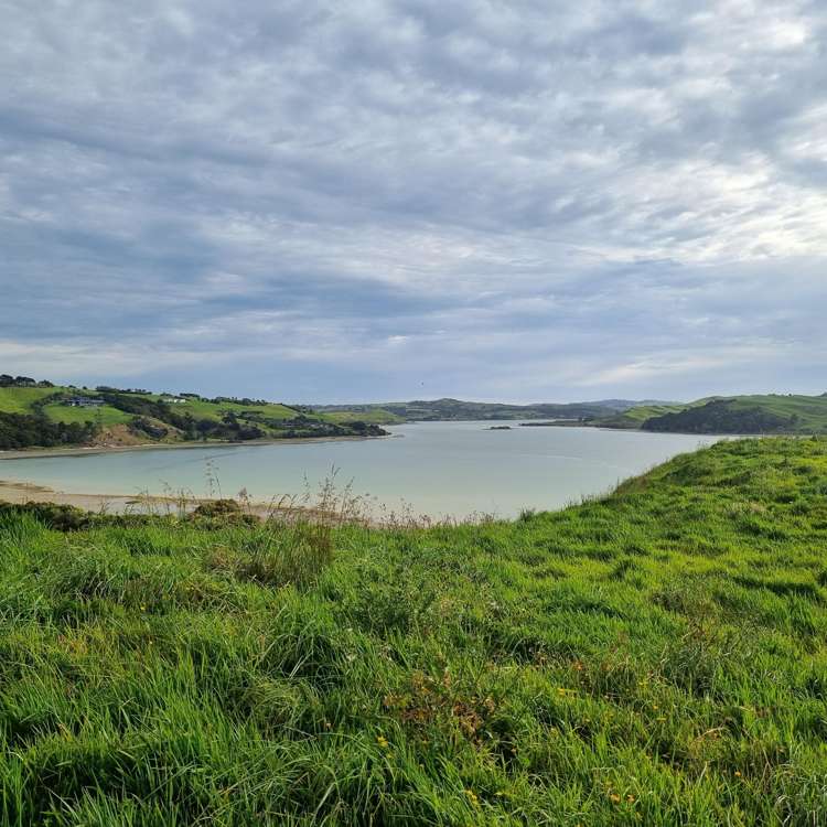 83 Hinamoki Drive Kaiwaka_15