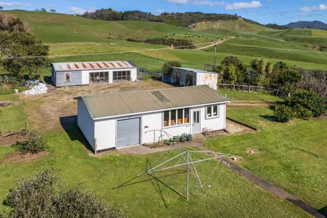 342 Pukekauri Road Waihi_3