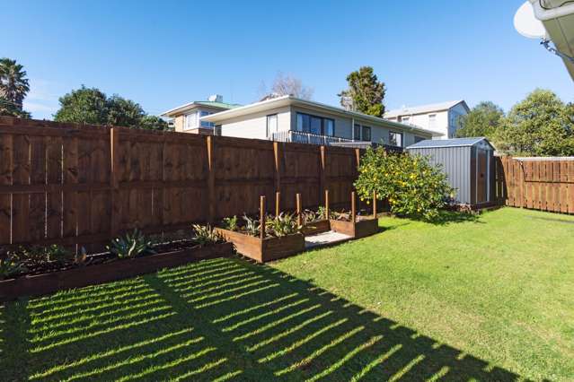 54a Prospect Terrace Pukekohe_2