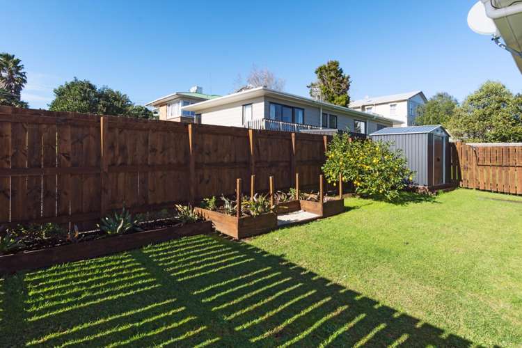 54a Prospect Terrace Pukekohe_2
